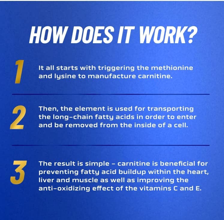 RONNIE COLEMAN Signature Series L-Carnitine 3000 Mg Liquid (Mango Pineapple),Pack of 1, 540 grams